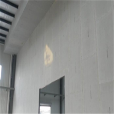 韶山宁波ALC板|EPS加气板隔墙与混凝土整浇联接的实验研讨